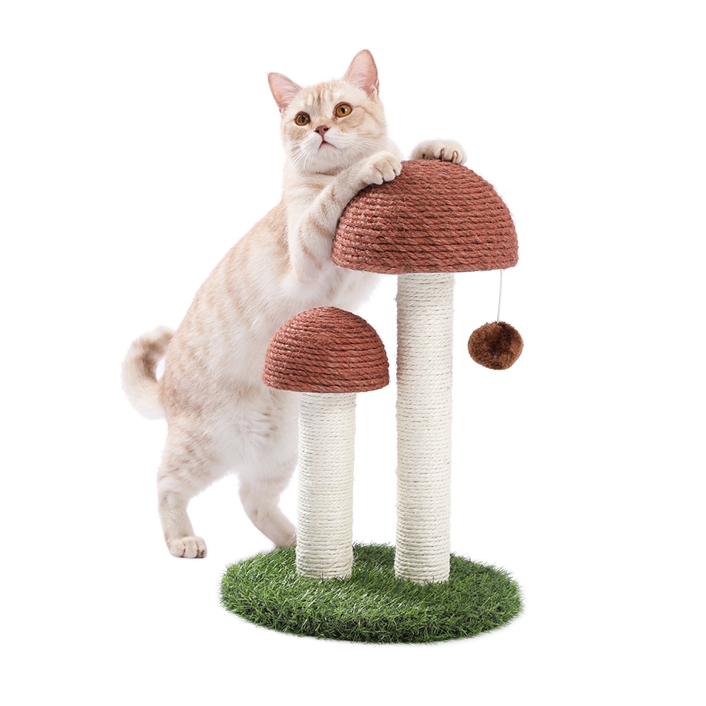 Mushroom Small Cat Tree with Scratching Posts - scottsoutlet
