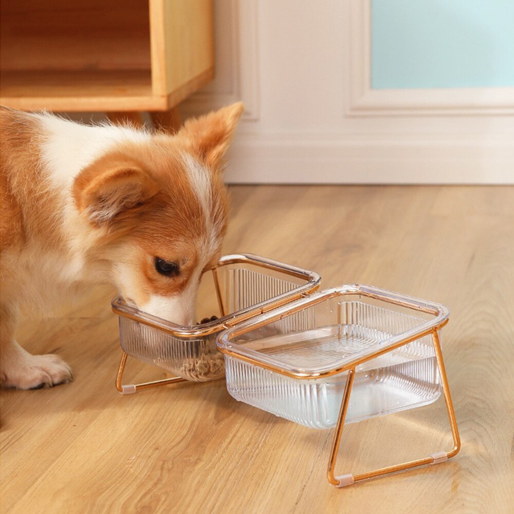 Transparent Cats Bowls - scottsoutlet