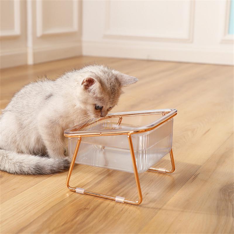 Transparent Cats Bowls - scottsoutlet