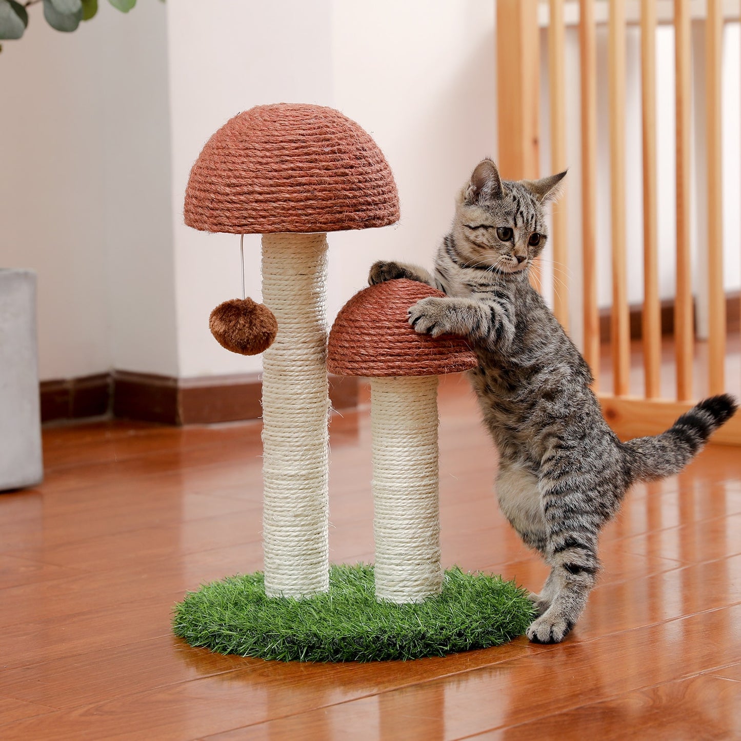 Mushroom Small Cat Tree with Scratching Posts - scottsoutlet